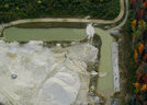 Aerial 4