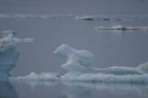 Arctic 04