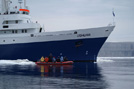 Arctic 38