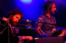 Hothouse Flowers 1
