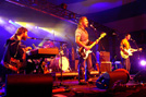 Hothouse Flowers 8