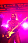 Hothouse Flowers 12