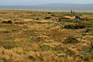 Otway 18