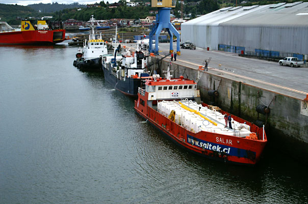 The Norwegian Crown & Port Activity